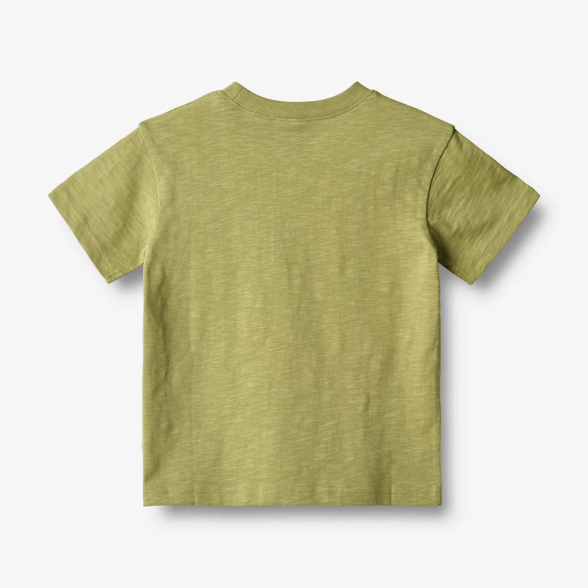 T-Shirt S/S Dines - sage